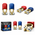 Battery Terminal Set – Positive & Negative