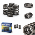 Valve Spring – Engine